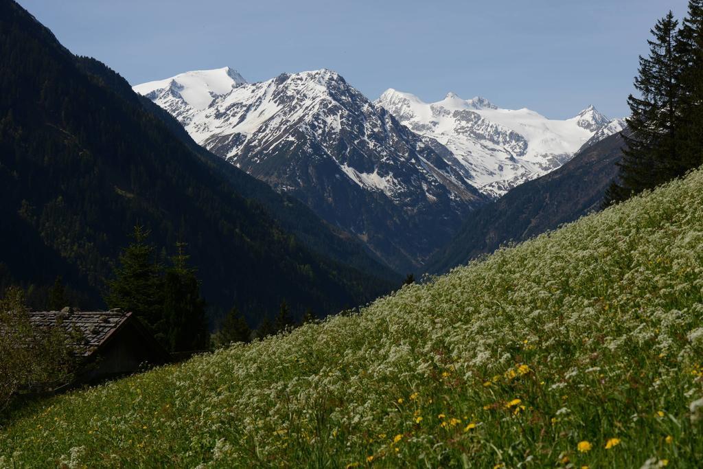 Pension Tina Neustift im Stubaital Εξωτερικό φωτογραφία