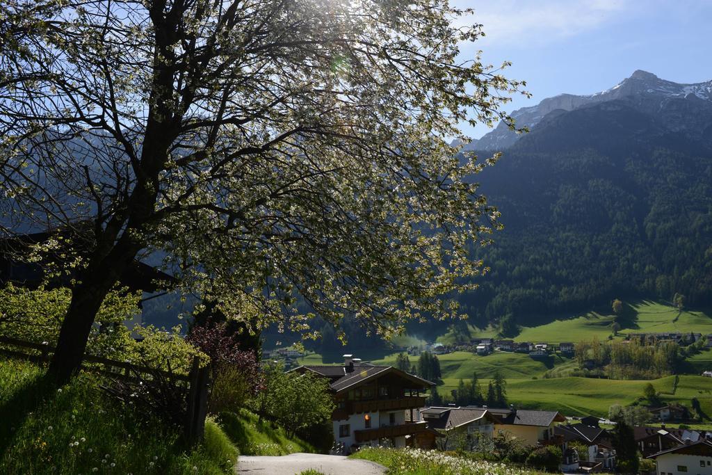Pension Tina Neustift im Stubaital Εξωτερικό φωτογραφία