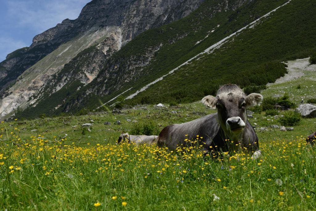 Pension Tina Neustift im Stubaital Εξωτερικό φωτογραφία
