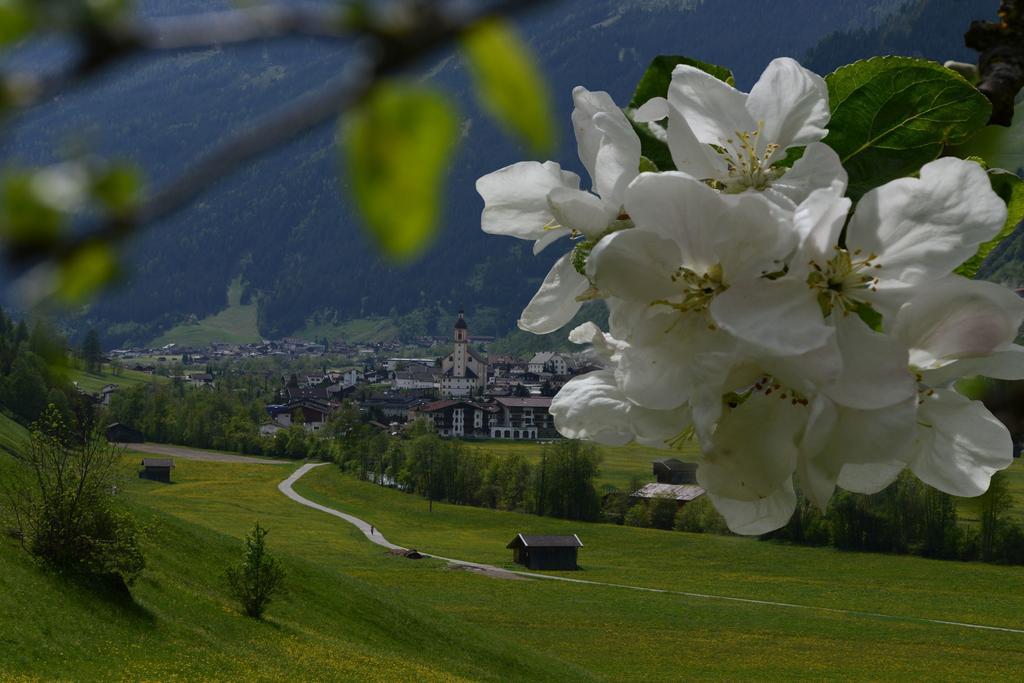 Pension Tina Neustift im Stubaital Εξωτερικό φωτογραφία