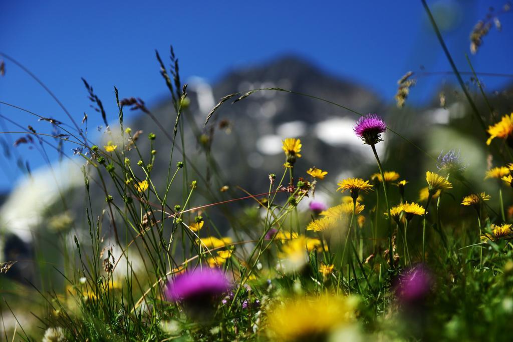 Pension Tina Neustift im Stubaital Εξωτερικό φωτογραφία